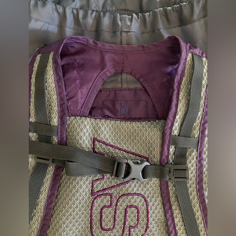 Ascend Dash 720 Lightweight Backpack - image 6